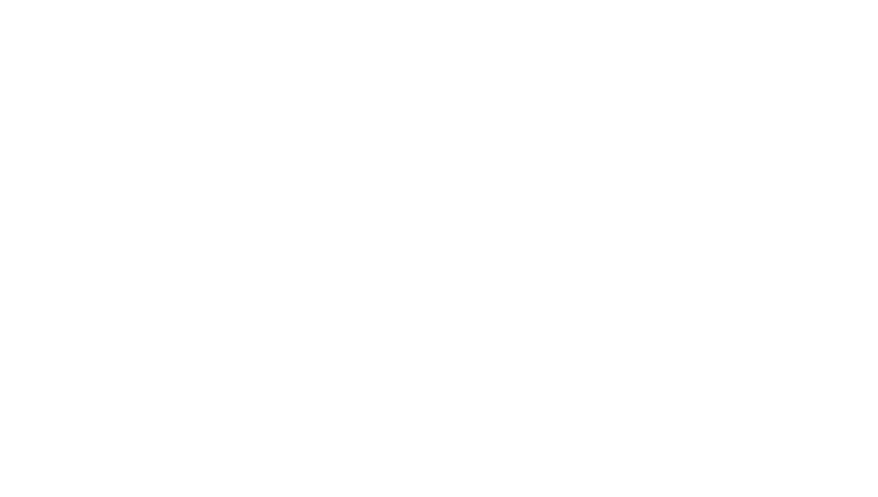 THE COCA COLA COMPANY